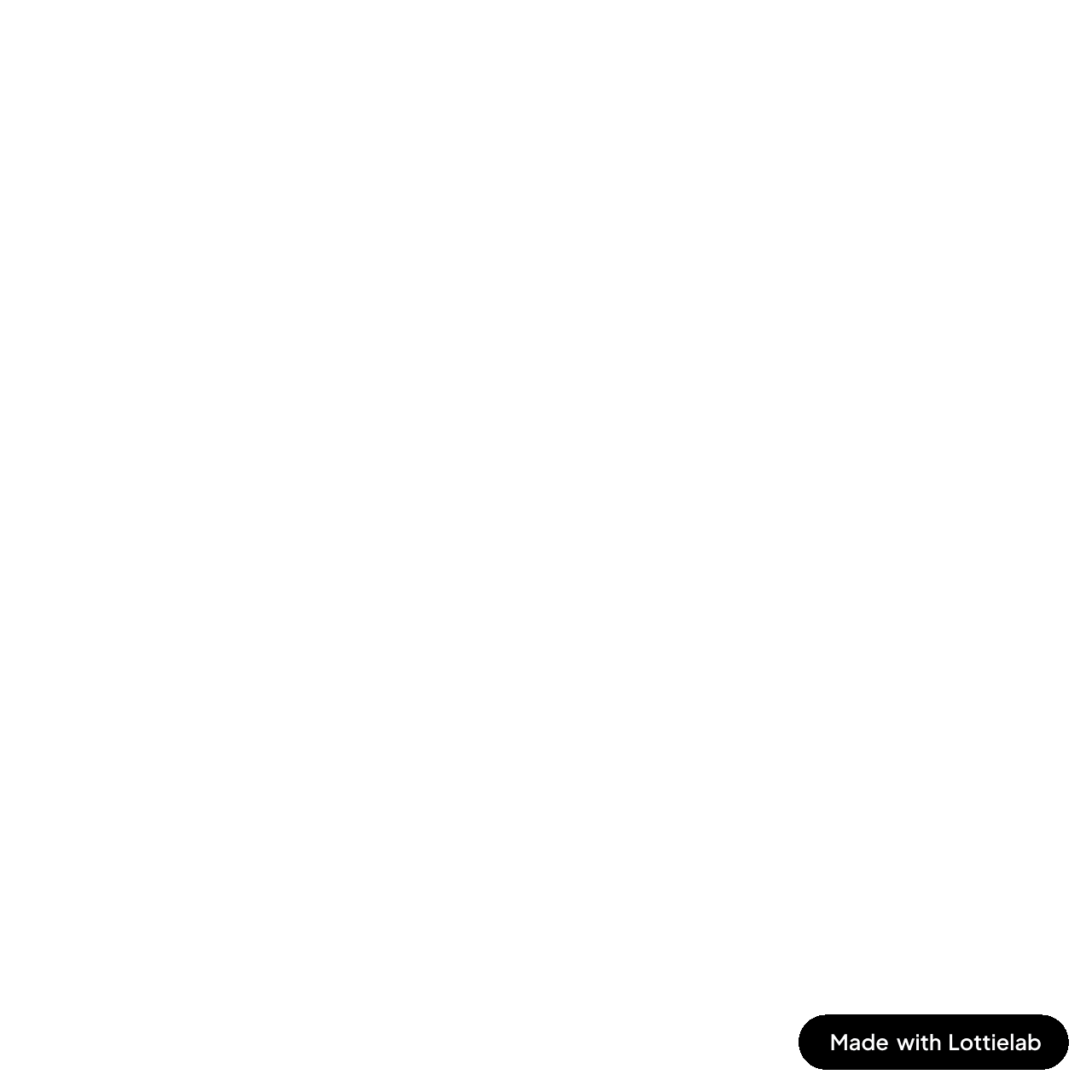 Connect & Discover animation
